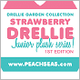 Strawberry Drellie Junior Plush